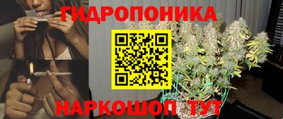 ГАЛЛЮЦИНОГЕННЫЕ ГРИБЫ Пугачёв