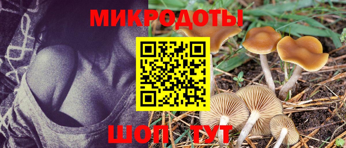Галлюциногенные грибы Cubensis Сарапул