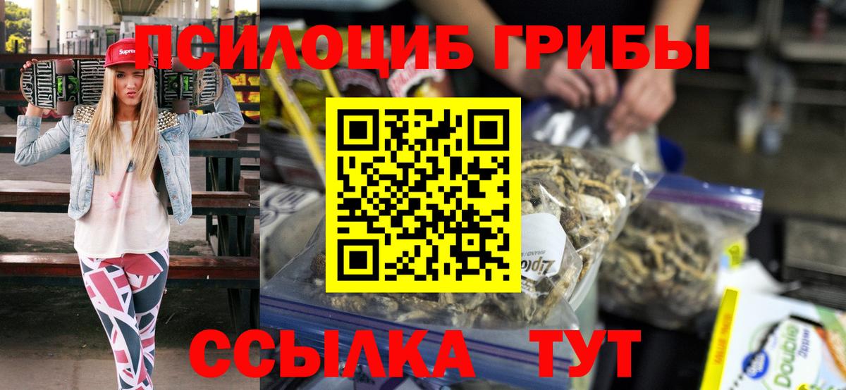 Сарапул  Псилоцибиновые грибы мицелий  Вход с VPN 